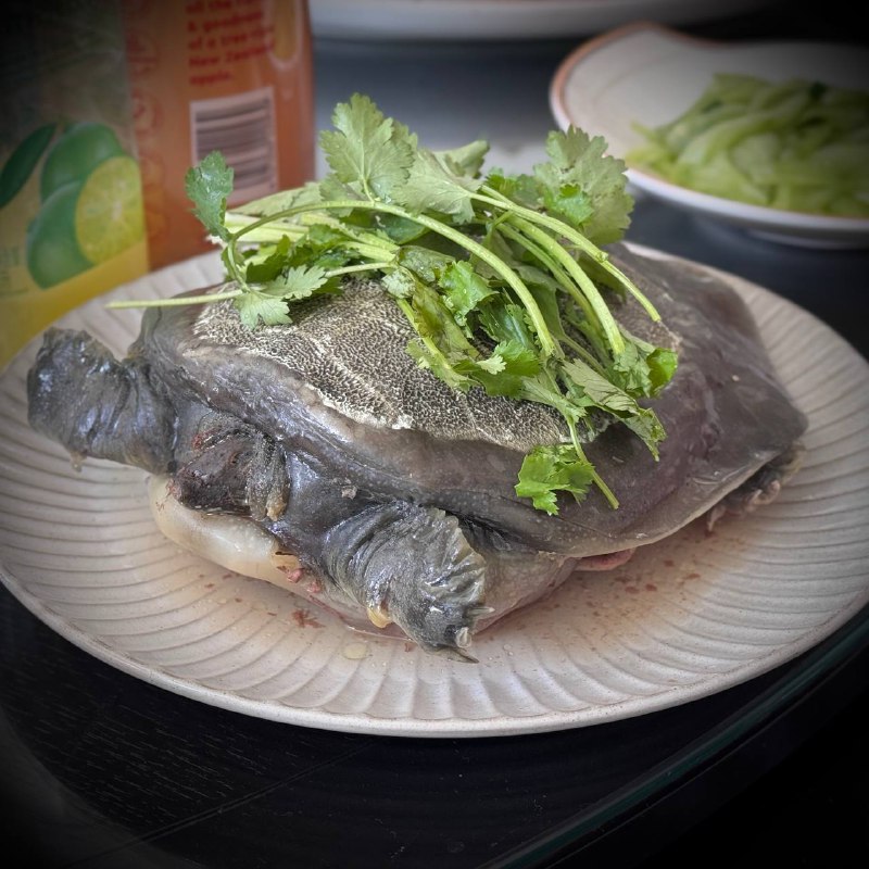 年度一次的吃蟹活动年度一次的吃蟹活动