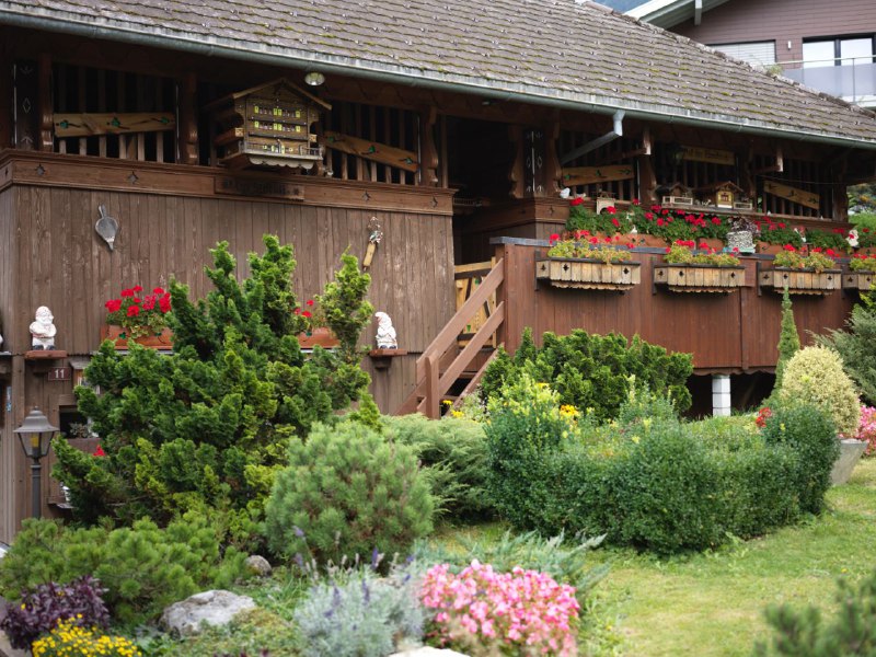 #瑞士 #旅游 #摄影#瑞士 #旅游 #摄影