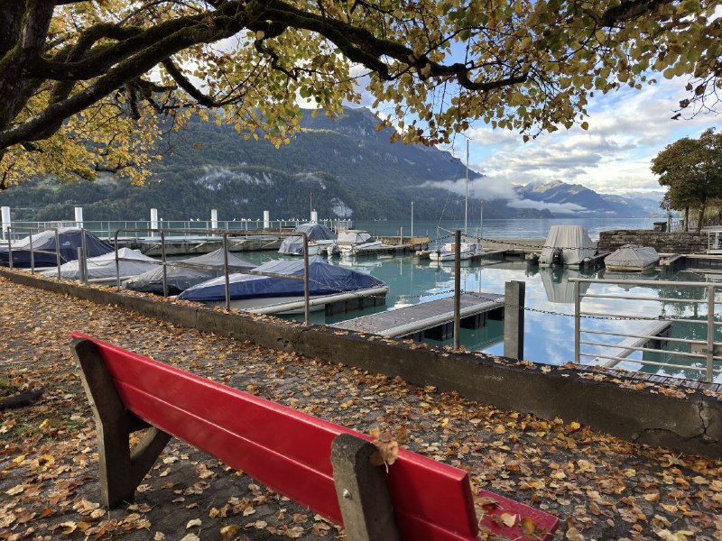 #瑞士 #旅游 #摄影#瑞士 #旅游 #摄影